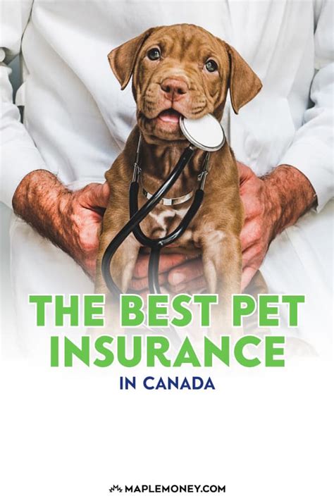 highest rated pet insurance in canada